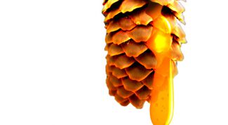 Картинка по теме - как отстирать смолу