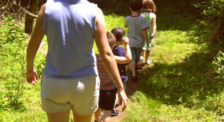 Картинка по теме - как уберечься от клещей