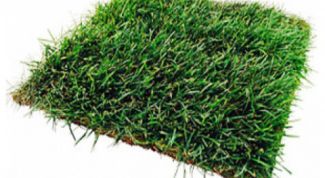 Картинка по теме - как выбрать участок под строительство