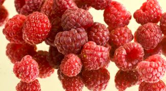 Картинка по теме - как сушить ягоду