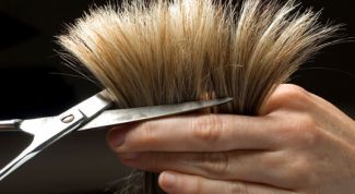 Картинка по теме - как научиться делать стрижки