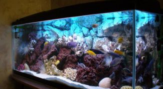 Картинка по теме - как сделать аквариум самому