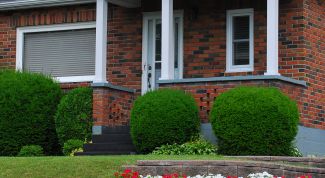 Картинка по теме - как купить дом за городом