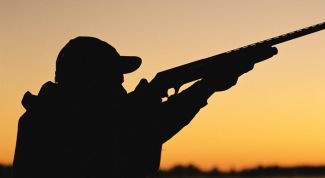 Картинка по теме - как выбрать оружие для охоты