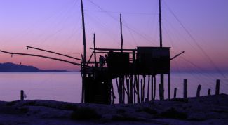 Картинка по теме - как хранить червей