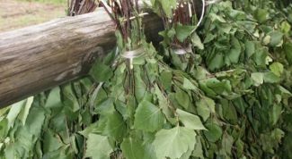 Картинка по теме - как заготовить веники для бани