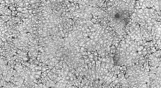 Картинка по теме - как наносить кракелюр