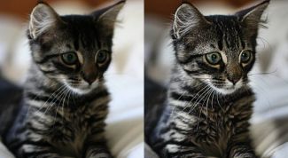 Картинка по теме - как улучшить качество фотографии