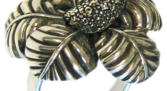 Картинка по теме - как почистить серебряное кольцо