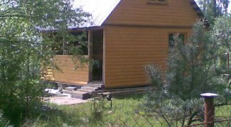 Картинка по теме - как избавиться от мха на участке