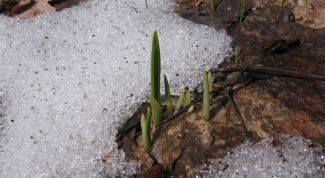 Картинка по теме - как копать в мерзлой земле