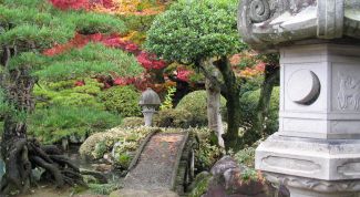 Картинка по теме - как попасть в японию?