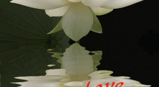 Картинка по теме - как написать текст на фото