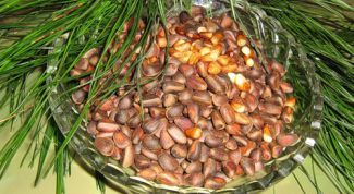 Картинка по теме - как сделать кедровую настойку