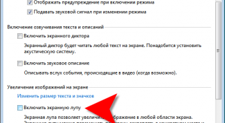 Картинка по теме - как отключить экранную лупу