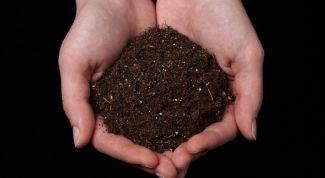 Картинка по теме - как купить участок земли у государства