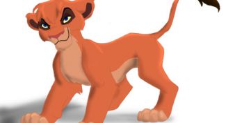 Картинка по теме - как рисовать короля льва