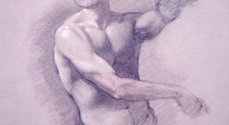 Картинка по теме - как рисовать туловище