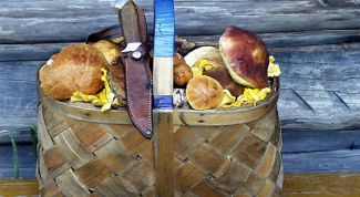 Картинка по теме - как чистить грибы