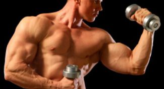 Картинка по теме - как нарастить мышцы на руках