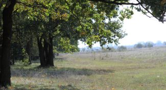 Картинка по теме - как получить пай