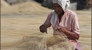 Картинка по теме - как посадить рыболовную сеть