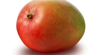 Картинка по теме - как хранить манго