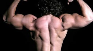 Картинка по теме - как развить плечи