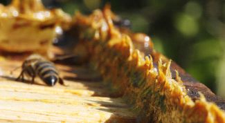 Картинка по теме - как приготовить водный раствор прополиса