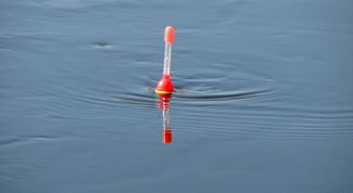 Картинка по теме - как отгрузить поплавок