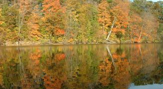 Картинка по теме - как описать осень