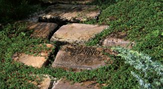 Картинка по теме - как выкладывать дорожки