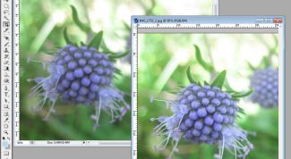 Картинка по теме - как исправить смазанную фотографию
