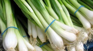 Картинка по теме - как сеять лук