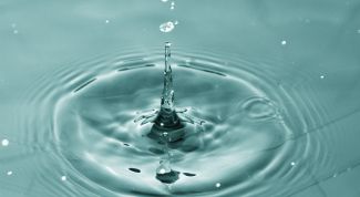 Картинка по теме - как фотографировать капли