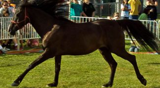 Картинка по теме - как найти мощность