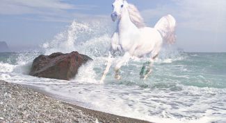 Картинка по теме - как перенести одно изображение на другое в фотошопе