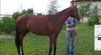 Картинка по теме - как вырезать в фотошопе и сохранить вырезанное