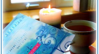 Картинка по теме - как нарисовать книжку