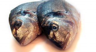 Картинка по теме - как избавиться от запаха рыбы