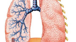 Картинка по теме - как очистить лёгкие от пыли
