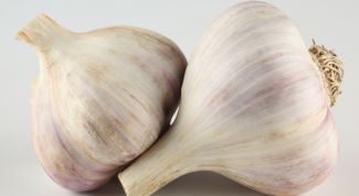 Картинка по теме - как сохранить чеснок до весны
