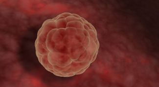 Картинка по теме - как отличить имплантационное кровотечение