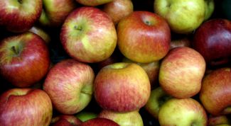 Картинка по теме - как сделать вино из яблок