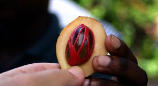 Картинка по теме - как избавиться от шрамов на ногах