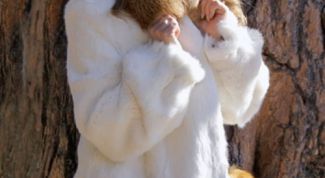 Картинка по теме - как почистить кроличью шубу