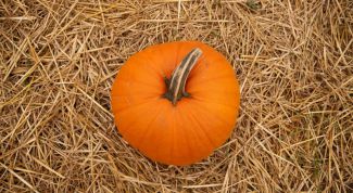 Картинка по теме - как сварить тыквенную кашу