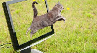 Картинка по теме - как поменять частоту обновления экрана