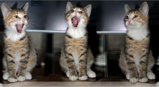 Картинка по теме - как создать домашнюю студию