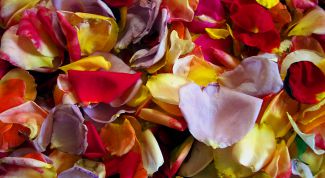 Картинка по теме - как сохранить лепестки роз